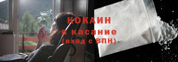 дмт Аркадак
