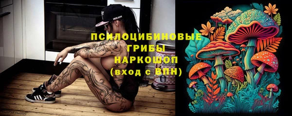 ГАЛЛЮЦИНОГЕННЫЕ ГРИБЫ Армянск